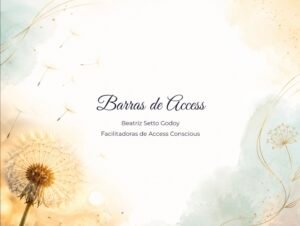 Curso Barras de Access