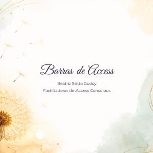 Curso Barras de Access